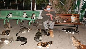 Kısıtlamada mahalle mahalle gezip, sokak hayvanlarını besliyor 