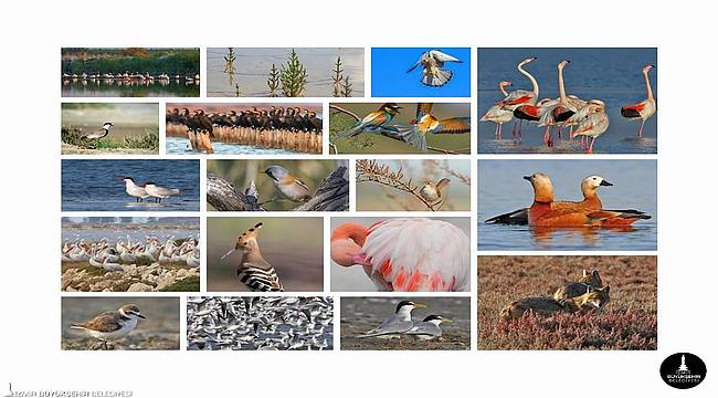 Mavişehir'e Flamingo Doğa Parkı geliyor