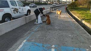 ​Sokakta yaşayan hayvanlar unutulmadı 