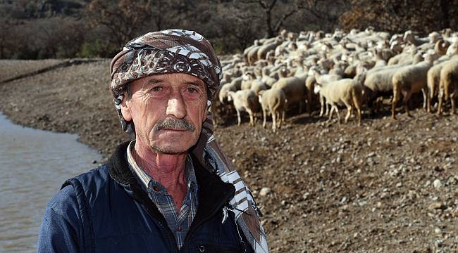 İçme suyu göletleri geldi, hayvancılık yeniden canlandı 