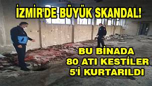 İzmir'de et operasyonu: Atları kesmişler!