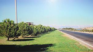Karayolları fidanlarla yeşilleniyor  