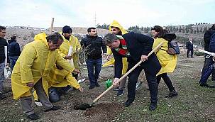  Karşıyaka'da yeşil seferberlik! 