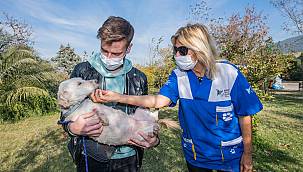 Yeni ailelerine kavuştular 