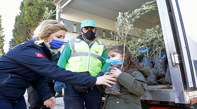 Aliağa Belediyesi'nin Zeytin Fidanı Dağıtımları Sürüyor