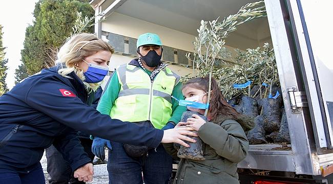 Aliağa Belediyesi'nin Zeytin Fidanı Dağıtımları Sürüyor 