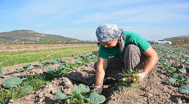 "Aliağa Toprak ve Tarım Atlası" İçin Çalışmalar Başladı 