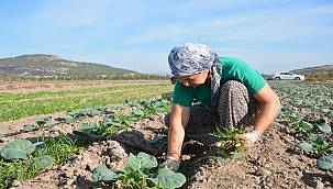 "Aliağa Toprak ve Tarım Atlası" İçin Çalışmalar Başladı