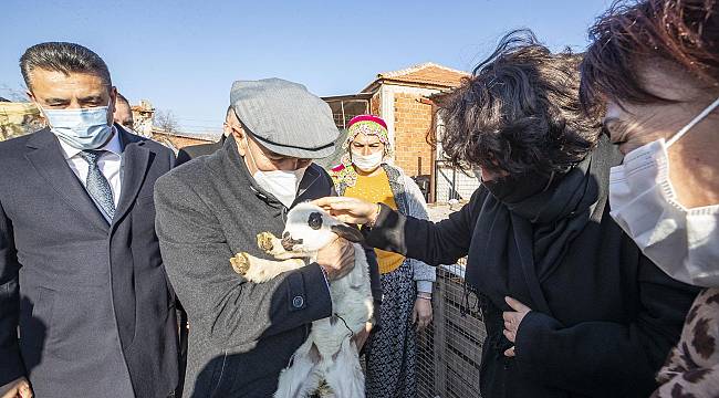 Başkan Soyer: Dikili yaz sezonuna sorunsuz girecek 