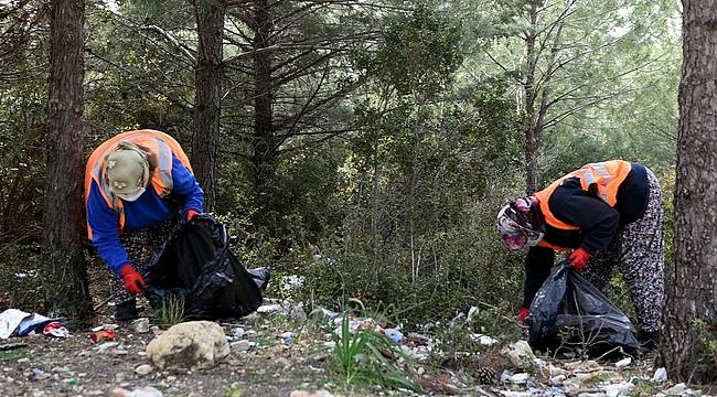 Aliağa Belediyesi'nden Orman Temizliği 