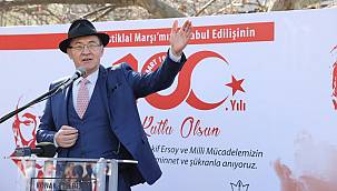 Tarihi Çınar'ın altında 100. yıla özel tören