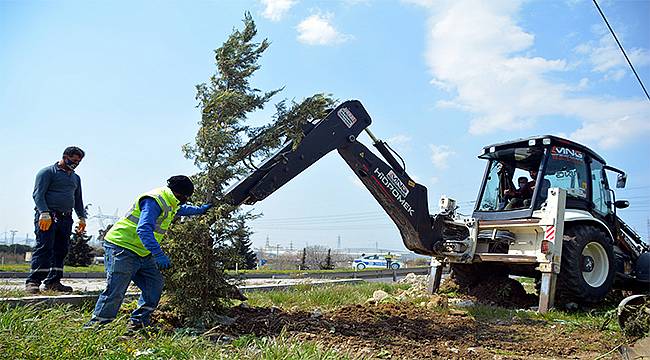 Aliağa Belediyesi Ağaçlandırma Çalışmalarına Ara Vermiyor 