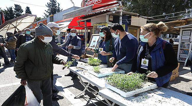 Buca'da balkon tarımı için 100 bin fide   