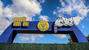 Bucalı kedilerin keyfi yerinde  