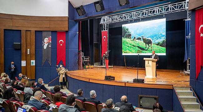 "İki yılda 3 ilçeye 524 milyon liralık yatırım" 