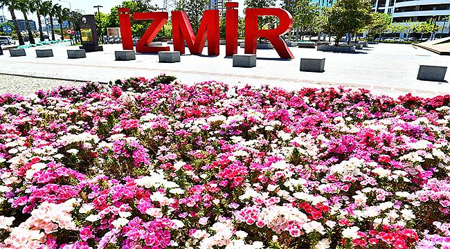 İzmir çiçek açtı 