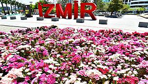 İzmir çiçek açtı 