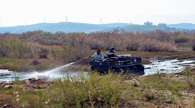 Aliağa Belediyesi Sivrisinekle Mücadelesini Sürdürüyor 