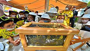 Büyükşehir, Dünya Arı Günü'nde arı farkındalık etkinliği yaptı: "Arılar Olmazsa!"