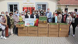 EGİKAD'dan Urla'ya 26 bin fide bağışı 