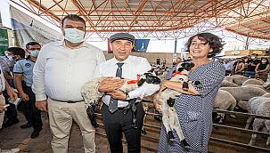 Soyer: Seferihisar'ı yenileyen çalışmalara devam ediyoruz 