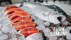 Su ürünleri ve hayvansal mamullerde 5 koldan tanıtım atağı 