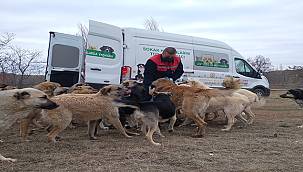 Tüpraş, Sokak Hayvanlarının Yiyecek İhtiyacı için Desteğini Sürdürüyor  