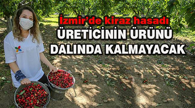 Üreticinin ürünü dalında kalmayacak 