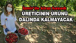 Üreticinin ürünü dalında kalmayacak 