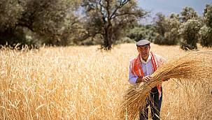 Başkan Soyer: "Atalık tohumları İzmir'in topraklarıyla buluşturmaya devam ediyoruz"