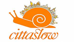 Cennet Foça, Sakinşehir Ünvanı Almaya Hazır 