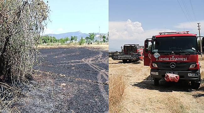 Foça Bağarası'nda 14 Dönüm Buğday Tarlası Yandı 