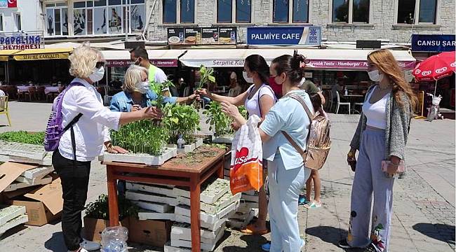 Foça'da vatandaşlara ata tohumlarından üretilmiş 80 bin fide 