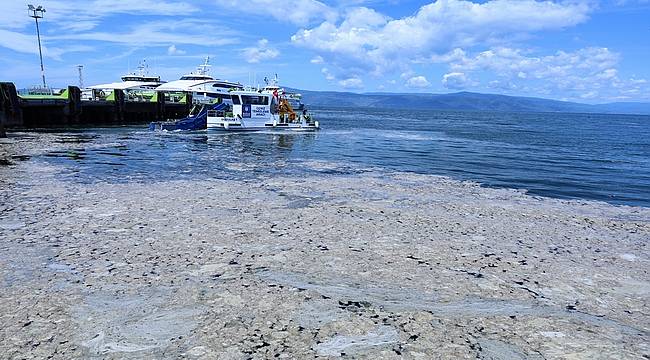 Müsilaja temas, insan sağlığına zarar verebilir 