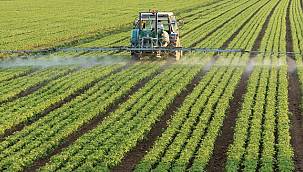 Egeli ihracatçılardan, "Yeşil Mutabakat Eylem Planı"na tam destek