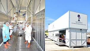 İzmir Kurban Bayramı'na hazır 