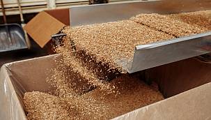 Tütün mamullerinde İran, yaprak tütünde ABD ilk sırada 