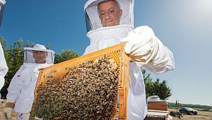 Bal Merası'nda ilk üretim 