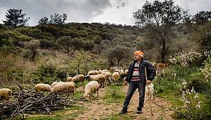 Büyükşehir yangına dirençli yeşil örtü için "orman seferberliği" başlatıyor 