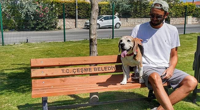 Çeşme'de köpeklere özel 'Pati Park' 