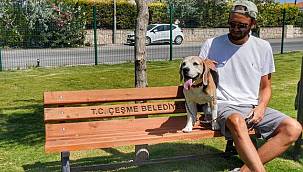 Çeşme'de köpeklere özel 'Pati Park' 
