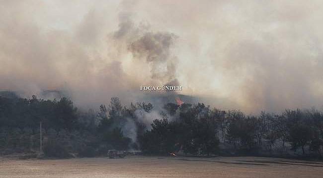 Foça'da orman yangını: 2 buçuk saatte kontrol altına alındı! 