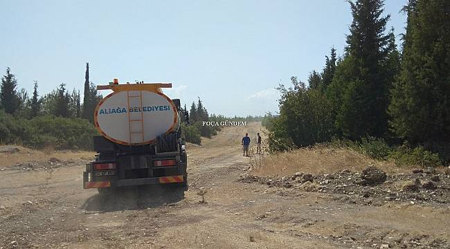 Foça'da orman yangını  