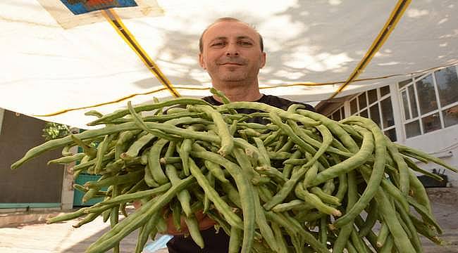 Karakızlar'da "Börülce Festivali" yapılacak  