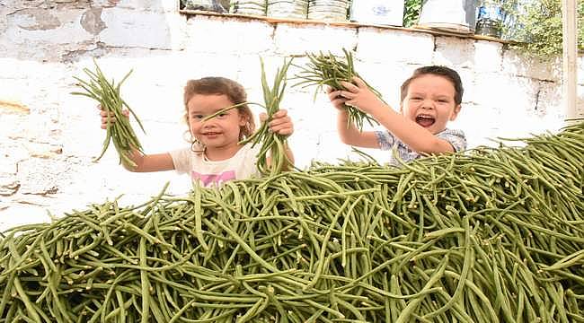 Torbalı, 'Börülce'yi festivalle tanıttı  