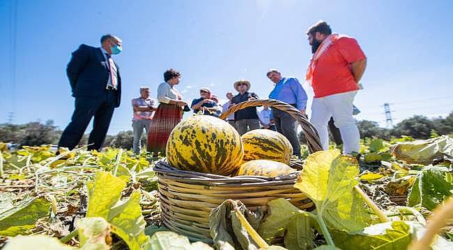 Çeşme kavunu tescillendi 