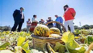 Çeşme kavunu tescillendi 