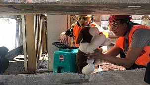 İzmir İtfaiyesi'nden afette kurtarılacak can dostlar için eğitim 