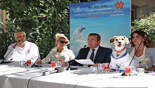 Patilerin Festivali, 9 Ekim'de Gündoğdu'da 