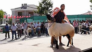 Tarım ve Sakız Koyunu Festivali'nde güzeller podyuma çıktı 